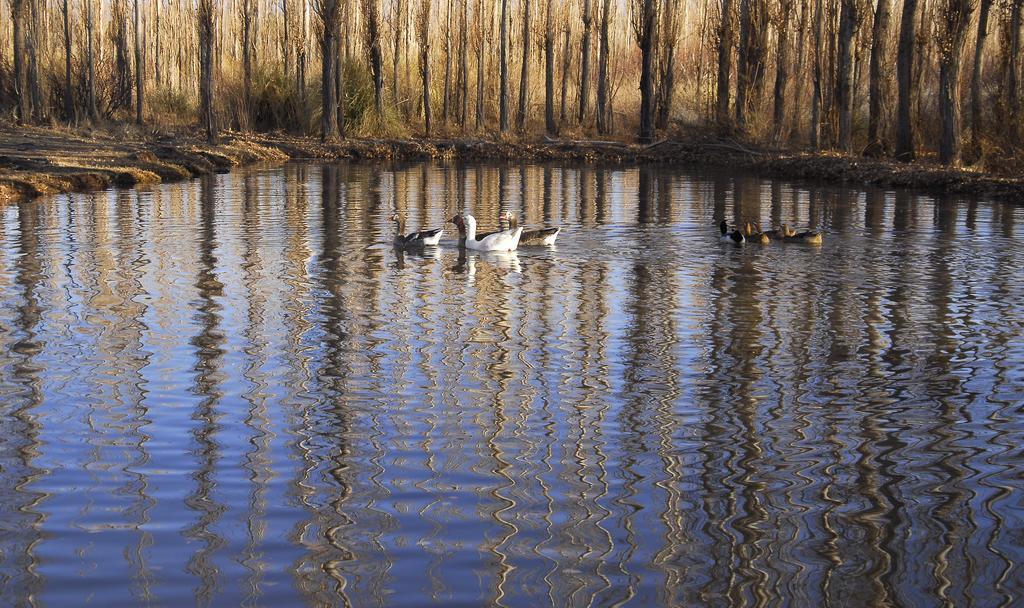 ホテル Posada Paso De Los Patos バレアル エクステリア 写真